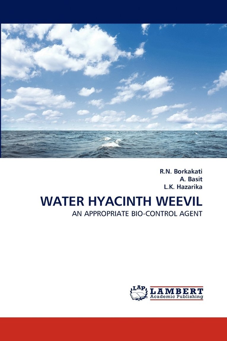 Water Hyacinth Weevil 1