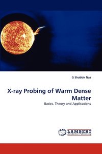 bokomslag X-ray Probing of Warm Dense Matter