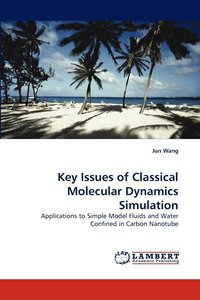 bokomslag Key Issues of Classical Molecular Dynamics Simulation