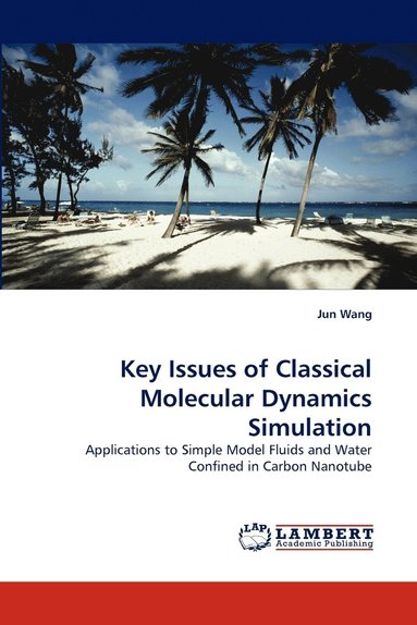 bokomslag Key Issues of Classical Molecular Dynamics Simulation