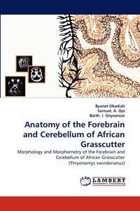 bokomslag Anatomy of the Forebrain and Cerebellum of African Grasscutter