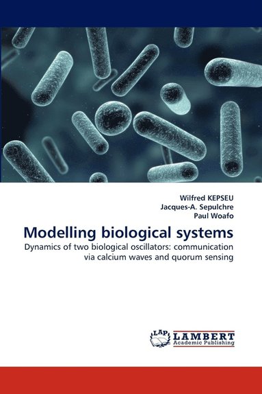 bokomslag Modelling biological systems