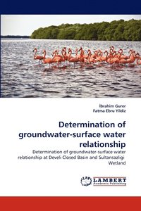 bokomslag Determination of groundwater-surface water relationship