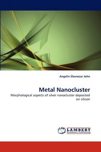 bokomslag Metal Nanocluster