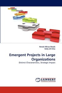 bokomslag Emergent Projects in Large Organizations