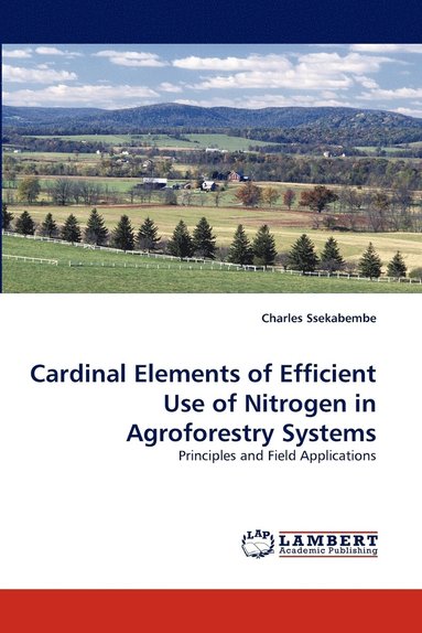 bokomslag Cardinal Elements of Efficient Use of Nitrogen in Agroforestry Systems