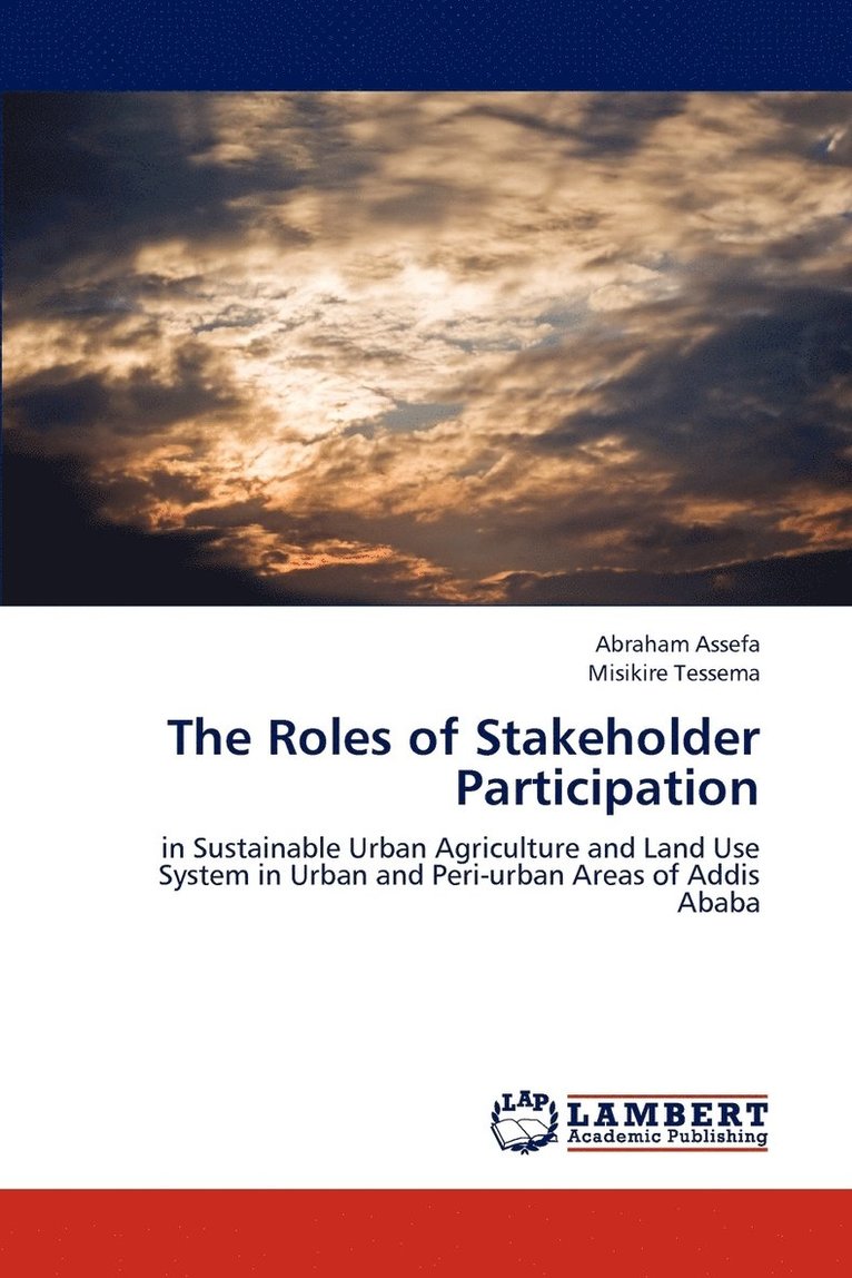 The Roles of Stakeholder Participation 1