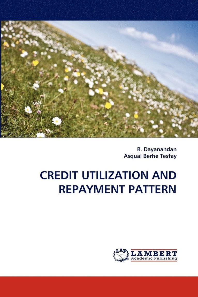 Credit Utilization and Repayment Pattern 1