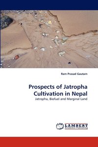 bokomslag Prospects of Jatropha Cultivation in Nepal