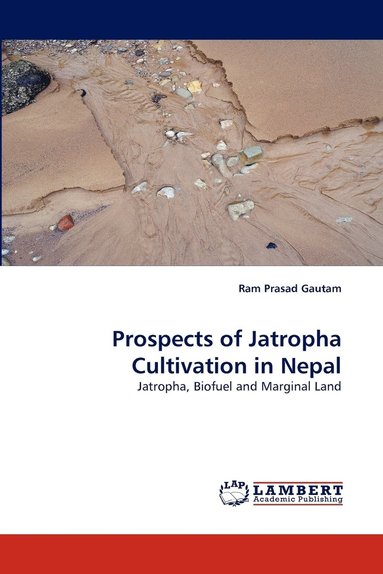 bokomslag Prospects of Jatropha Cultivation in Nepal