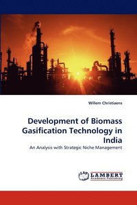 bokomslag Development of Biomass Gasification Technology in India