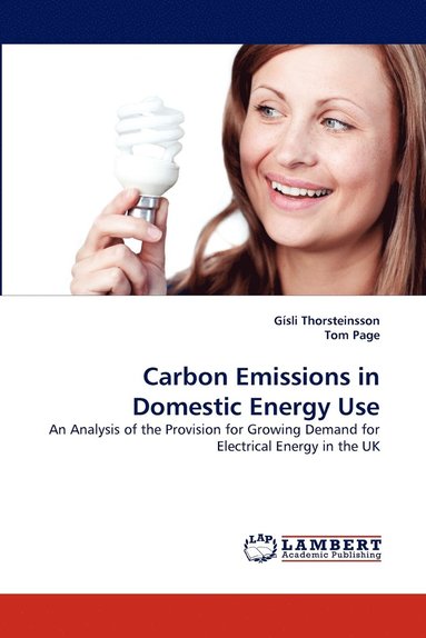 bokomslag Carbon Emissions in Domestic Energy Use