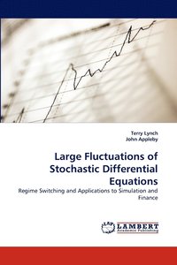bokomslag Large Fluctuations of Stochastic Differential Equations