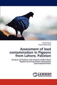 bokomslag Assessment of Lead Contamination in Pigeons from Lahore, Pakistan