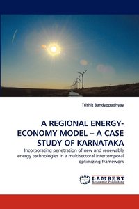 bokomslag A Regional Energy-Economy Model - A Case Study of Karnataka