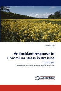 bokomslag Antioxidant response to Chromium stress in Brassica juncea