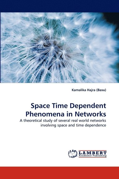 bokomslag Space Time Dependent Phenomena in Networks