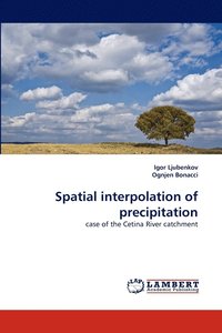 bokomslag Spatial interpolation of precipitation