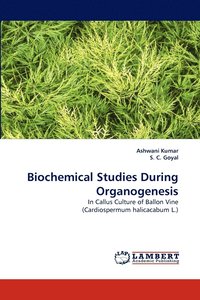 bokomslag Biochemical Studies During Organogenesis