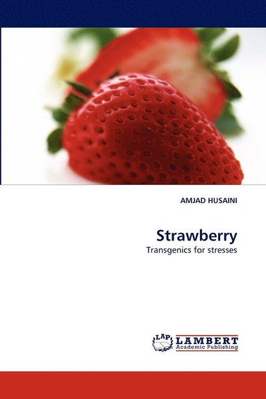 bokomslag Strawberry