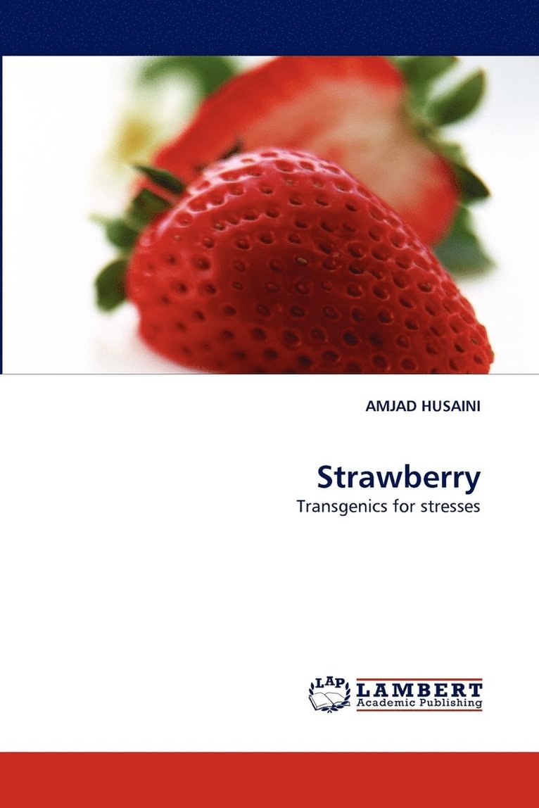 Strawberry 1