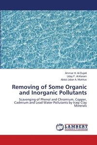 bokomslag Removing of Some Organic and Inorganic Pollutants