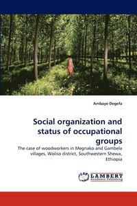bokomslag Social Organization and Status of Occupational Groups
