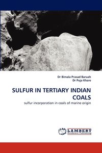 bokomslag Sulfur in Tertiary Indian Coals