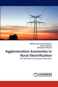 bokomslag Agglomeration Economies in Rural Electrification