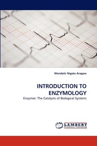 bokomslag Introduction to Enzymology
