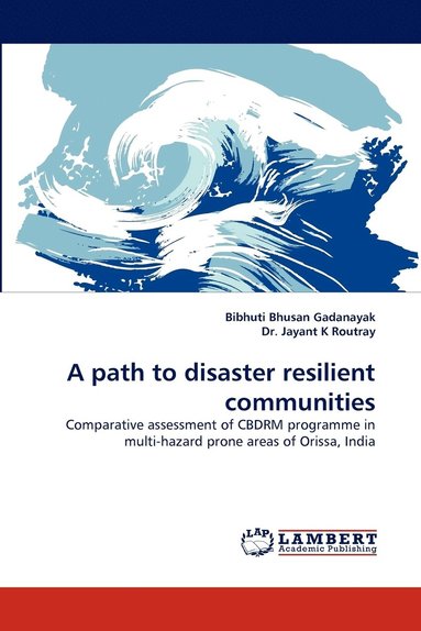 bokomslag A Path to Disaster Resilient Communities