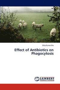 bokomslag Effect of Antibiotics on Phagocytosis