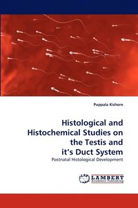 bokomslag Histological and Histochemical Studies on the Testis and it's Duct System
