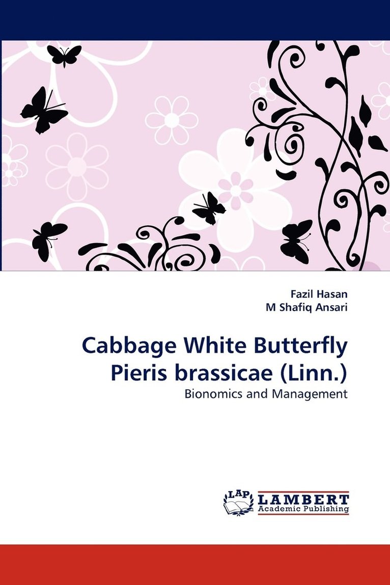 Cabbage White Butterfly Pieris brassicae (Linn.) 1