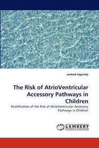 bokomslag The Risk of AtrioVentricular Accessory Pathways in Children