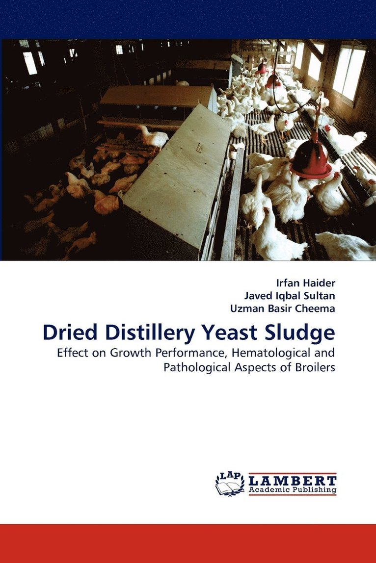 Dried Distillery Yeast Sludge 1
