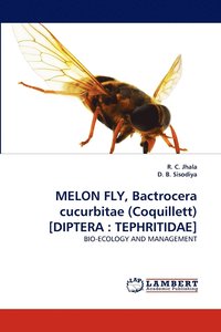 bokomslag Melon Fly, Bactrocera Cucurbitae (Coquillett) [Diptera