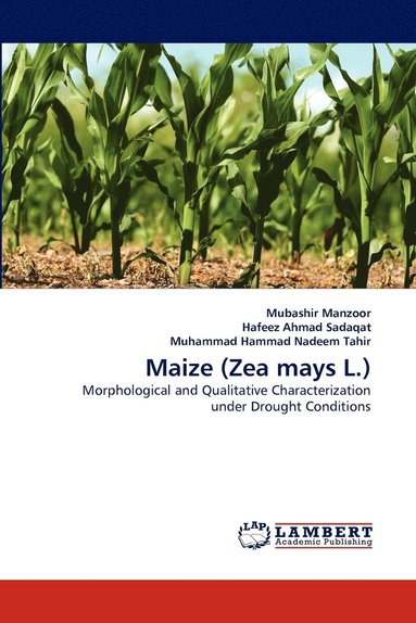 bokomslag Maize (Zea mays L.)