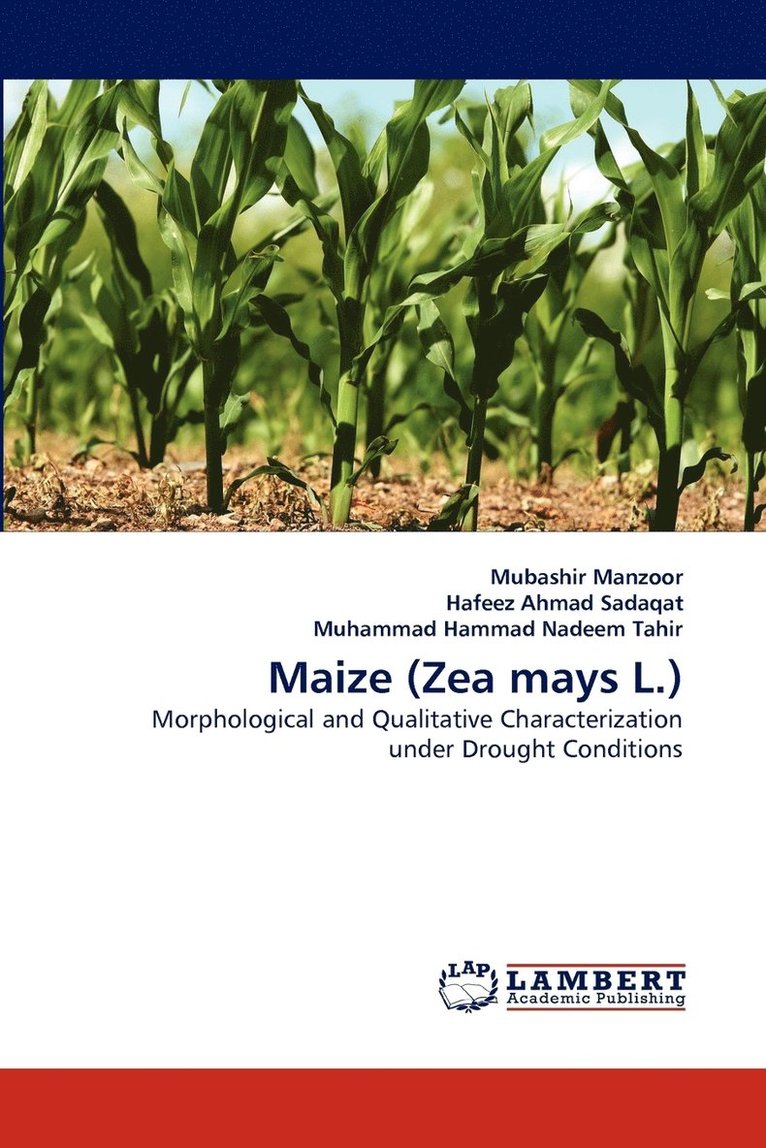 Maize (Zea mays L.) 1
