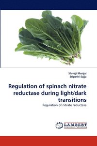 bokomslag Regulation of Spinach Nitrate Reductase During Light/Dark Transitions