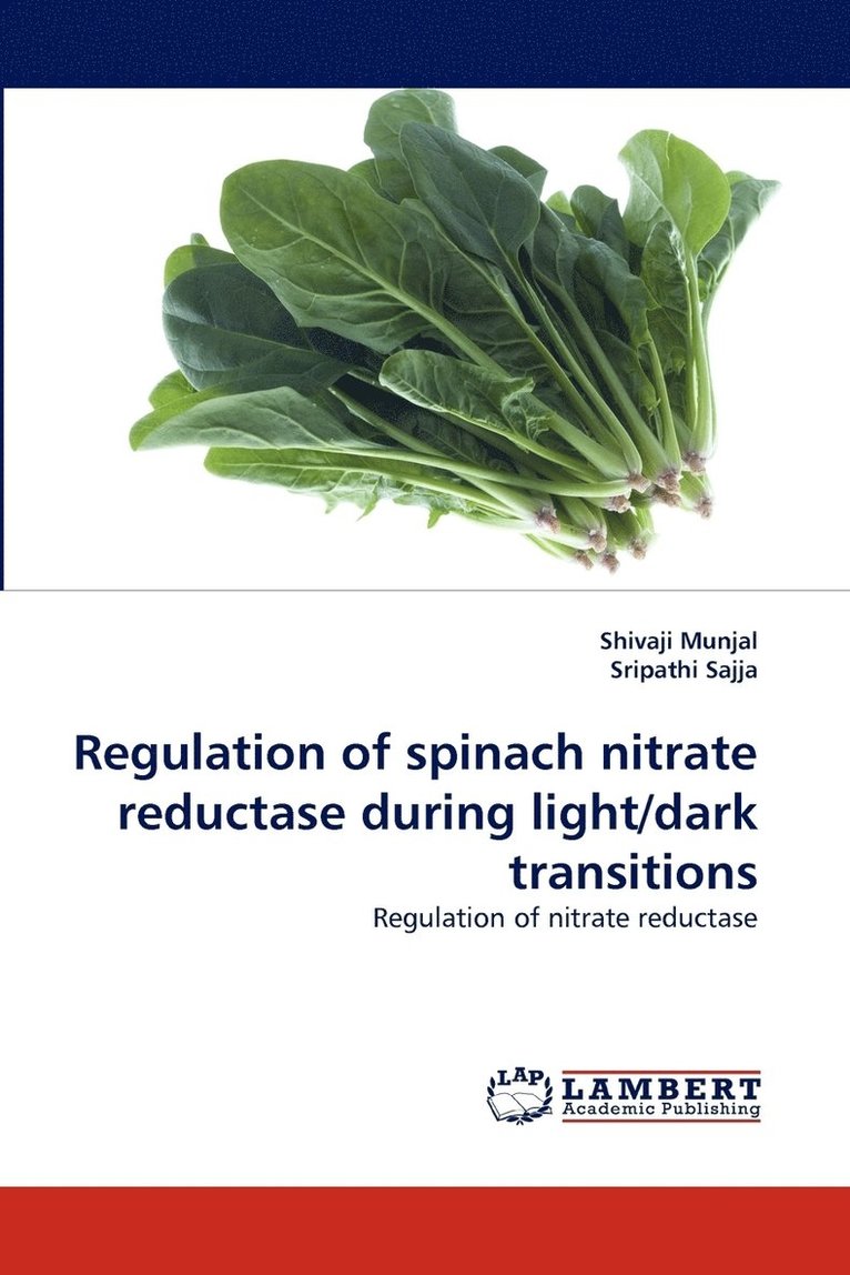 Regulation of Spinach Nitrate Reductase During Light/Dark Transitions 1
