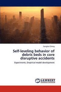 bokomslag Self-Leveling Behavior of Debris Beds in Core Disruptive Accidents