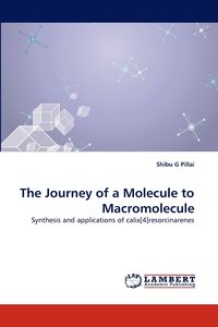 bokomslag The Journey of a Molecule to Macromolecule