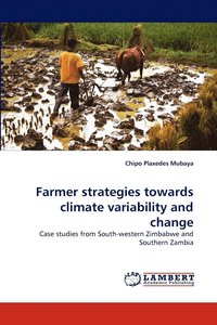 bokomslag Farmer Strategies Towards Climate Variability and Change