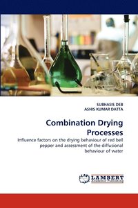 bokomslag Combination Drying Processes