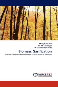 bokomslag Biomass Gasification