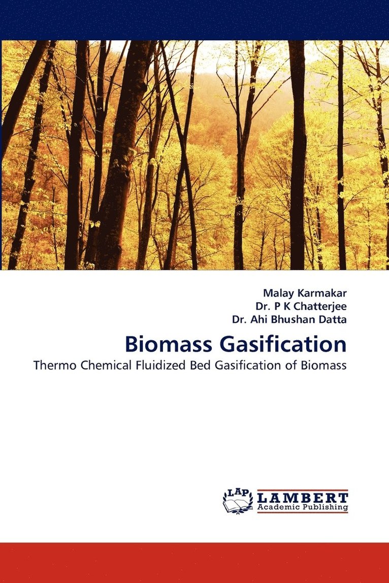 Malay Karmakar, P K Chatterjee, Ahi Bhushan Datta, P. K. Chatterjee, P K Chatterjee - Biomass Gasification, Häftad
