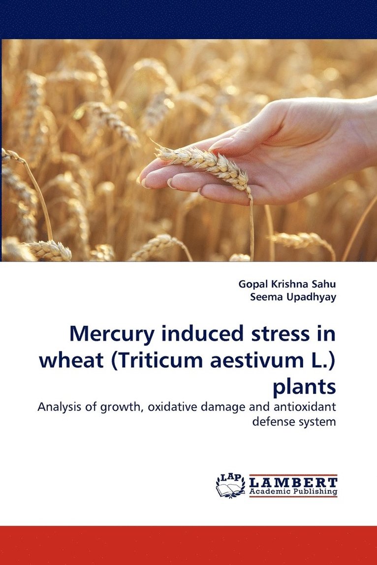 Mercury induced stress in wheat (Triticum aestivum L.) plants 1