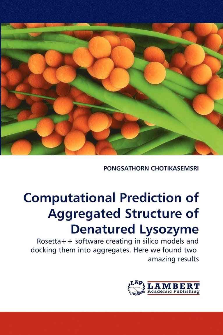 Computational Prediction of Aggregated Structure of Denatured Lysozyme 1