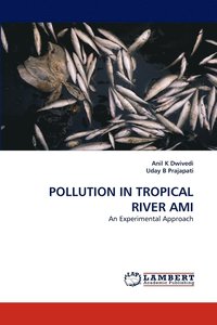bokomslag Pollution in Tropical River Ami